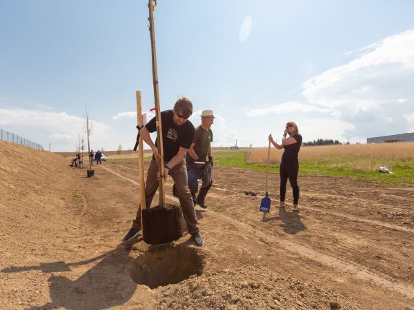 Zasadili jsme strom v rámci projektu ThinkGreen